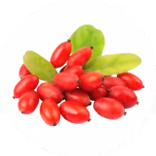 Goji berries